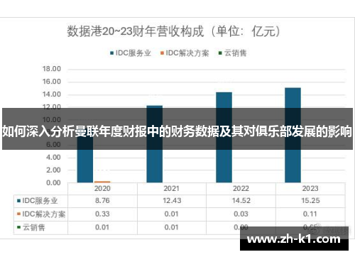 如何深入分析曼联年度财报中的财务数据及其对俱乐部发展的影响