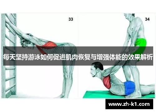 每天坚持游泳如何促进肌肉恢复与增强体能的效果解析