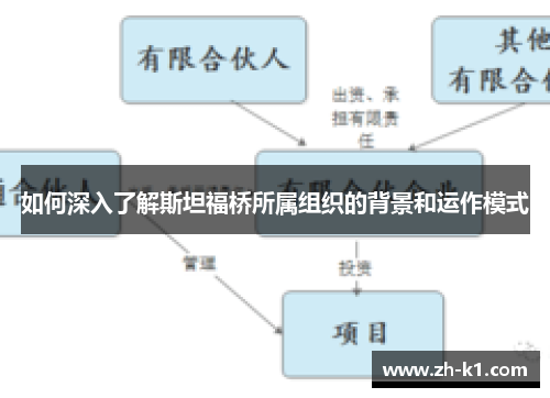 如何深入了解斯坦福桥所属组织的背景和运作模式