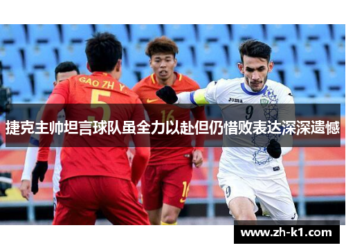捷克主帅坦言球队虽全力以赴但仍惜败表达深深遗憾